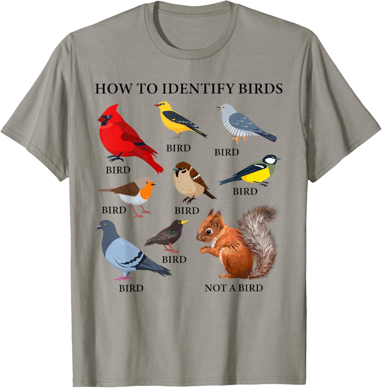 How to Identify Birds Funny Birds Identification Birdwatcher