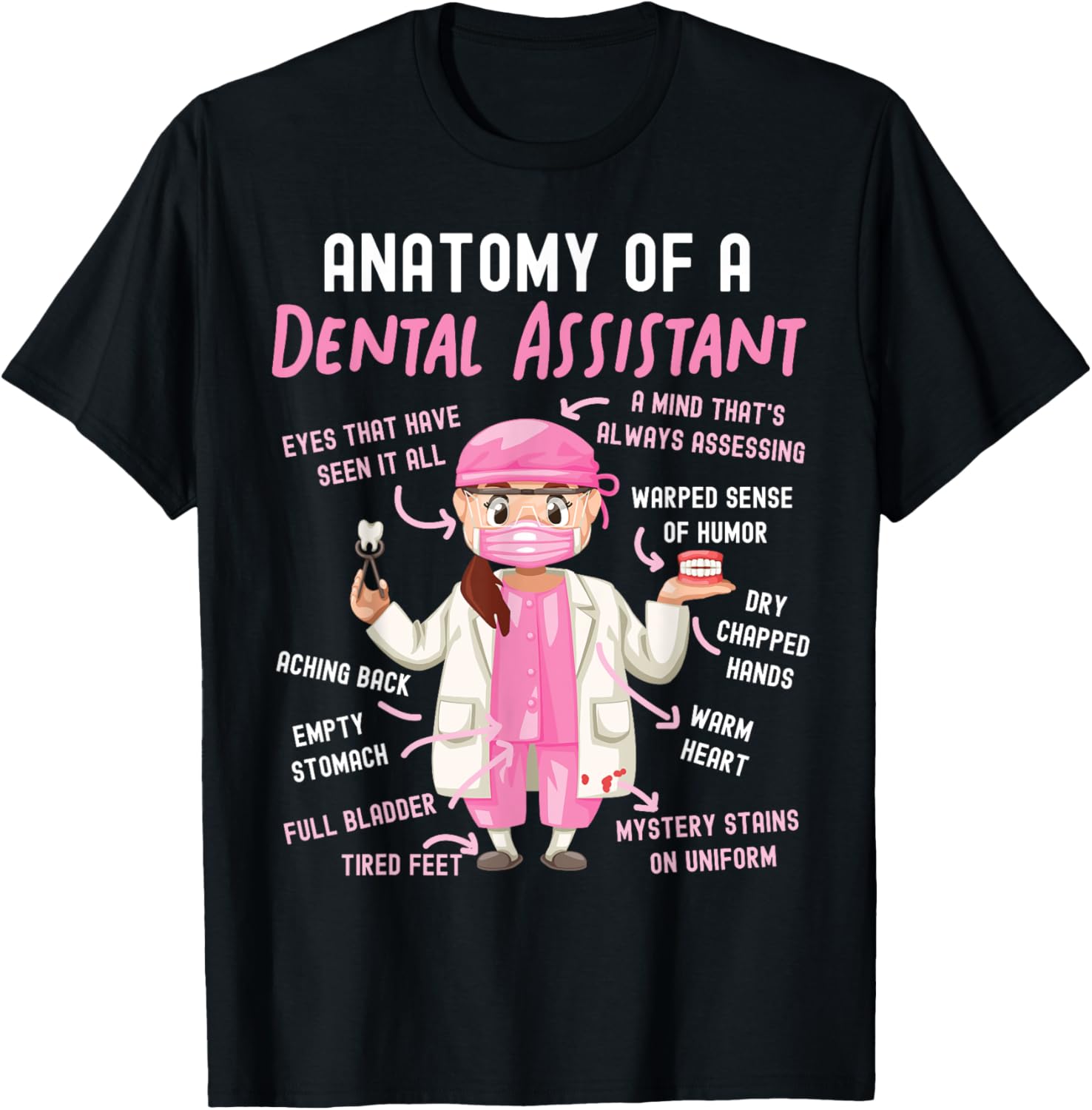 Dental Assistant Anatomy