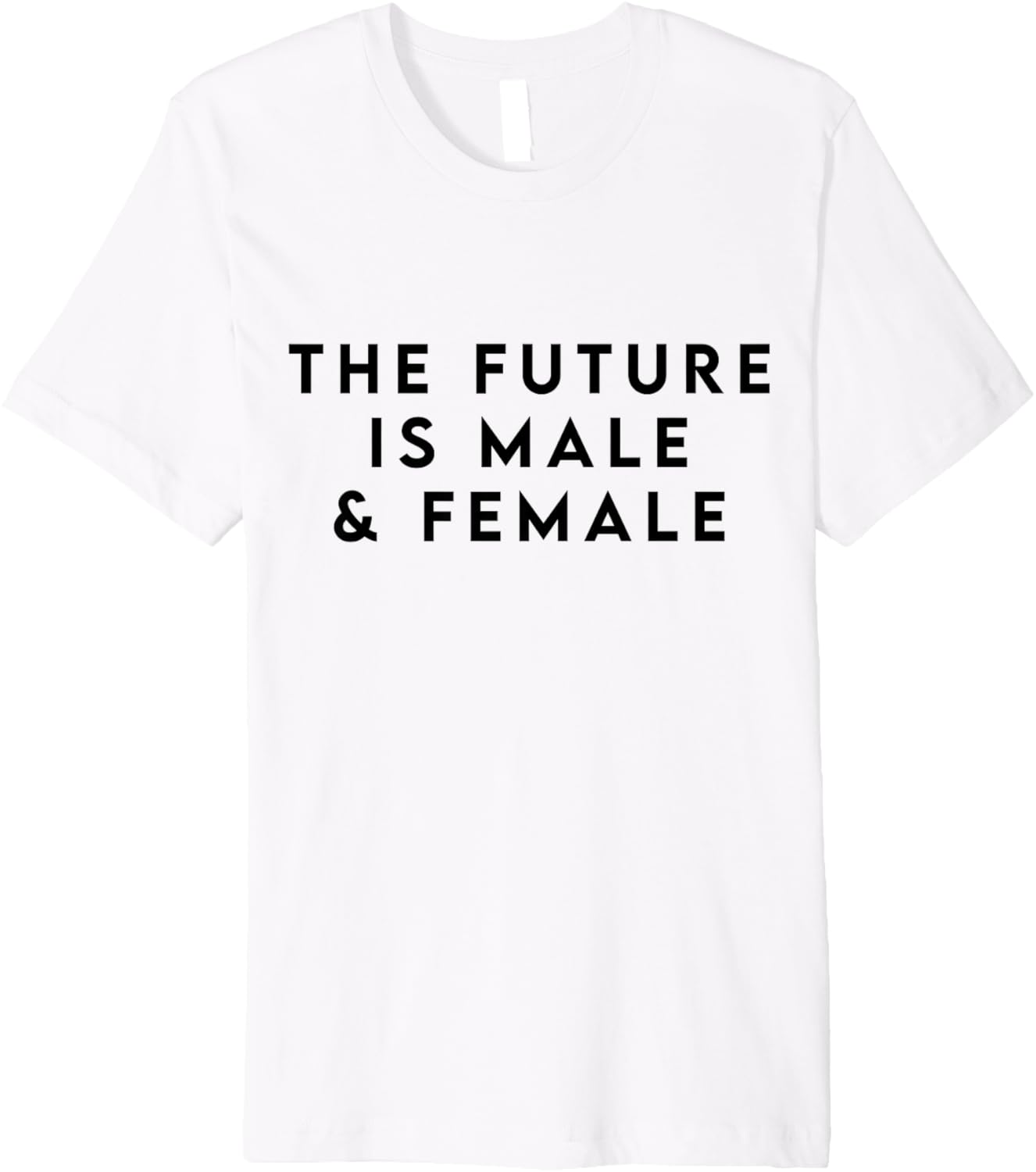 Mens The Future is Male and Female Shirt for Women Men Equality Premium