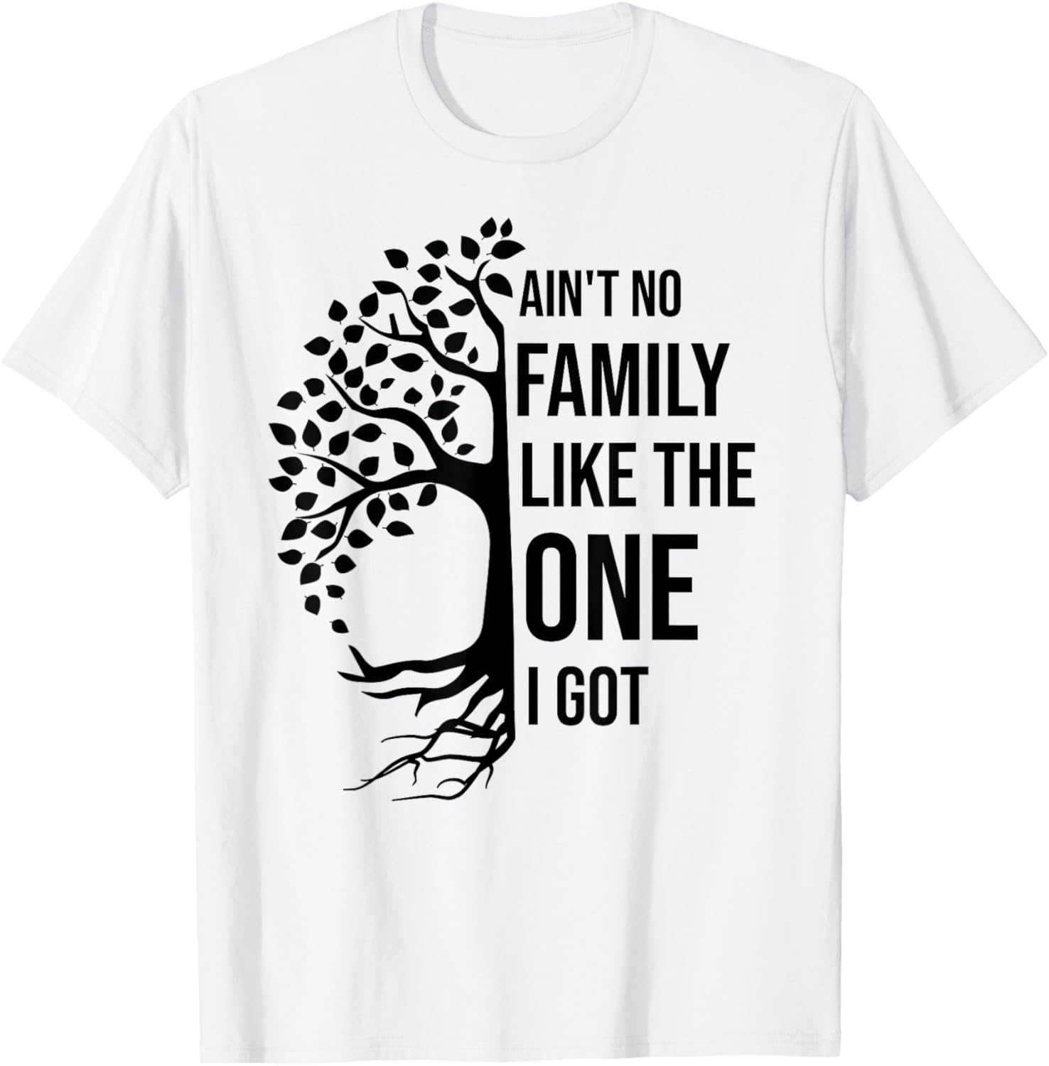 Ain't No Family Like The One I Got Funny Family Reunion
