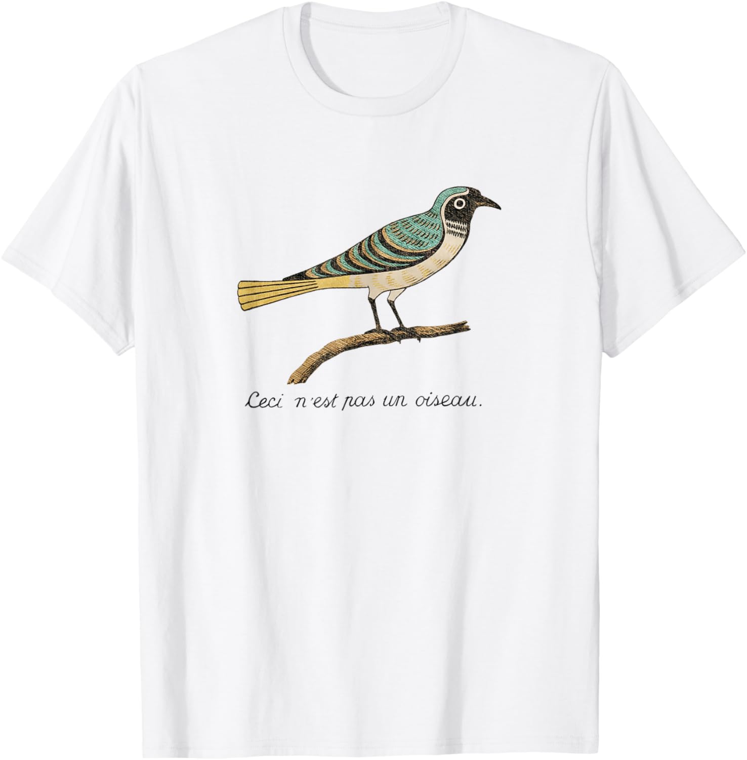 Birds Aren't Real   Ceci n'est pas un oiseau