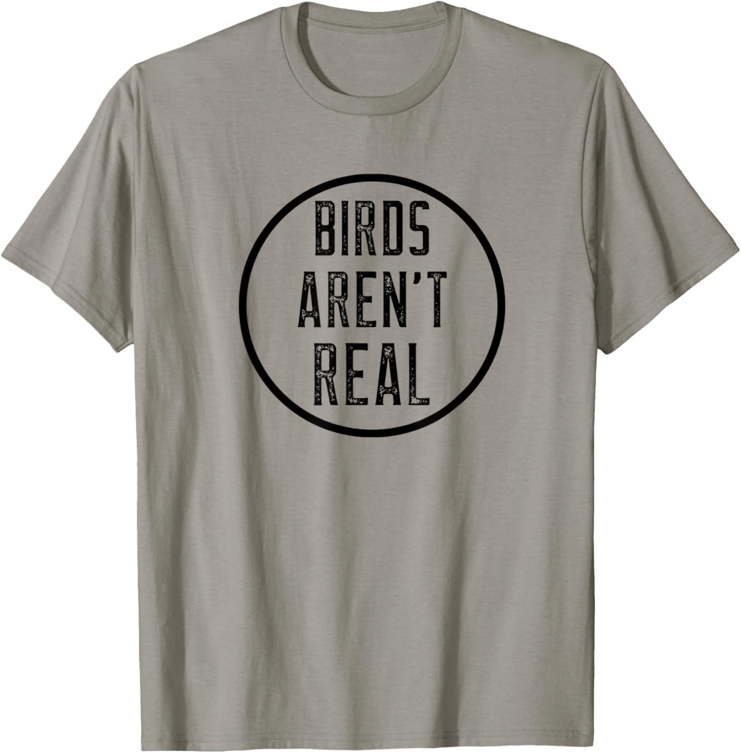 Birds Aren't Real Conspiracy Gen Z Design