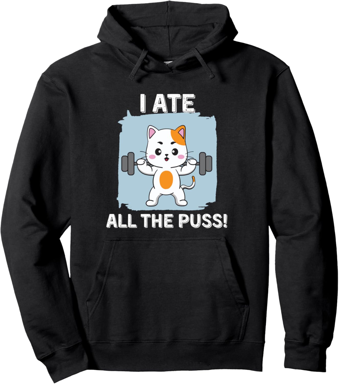 I Ate All The Puss Funny Cat Lover Cat Mom Word Pun Joke Gag Pullover Hoodie