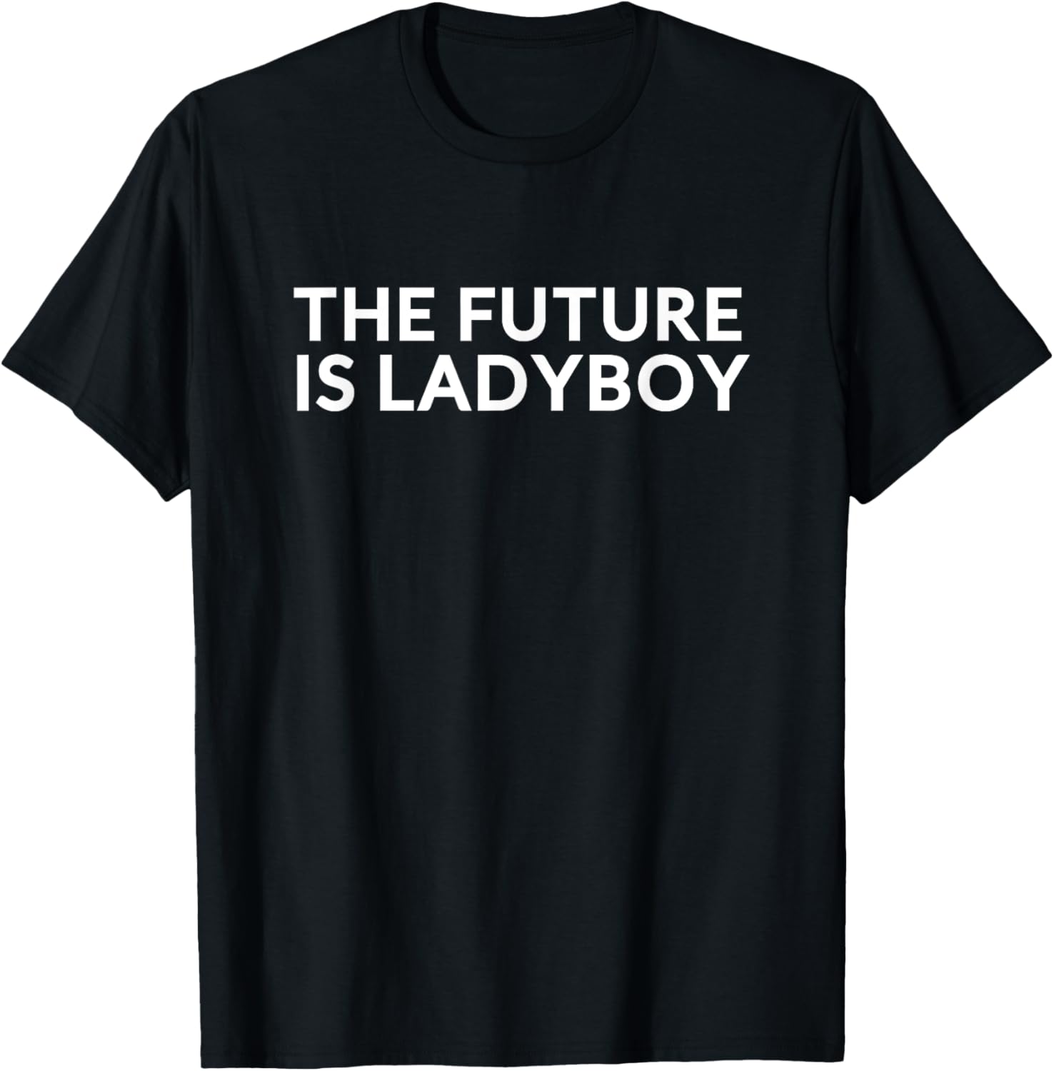 The Future Is Ladyboy