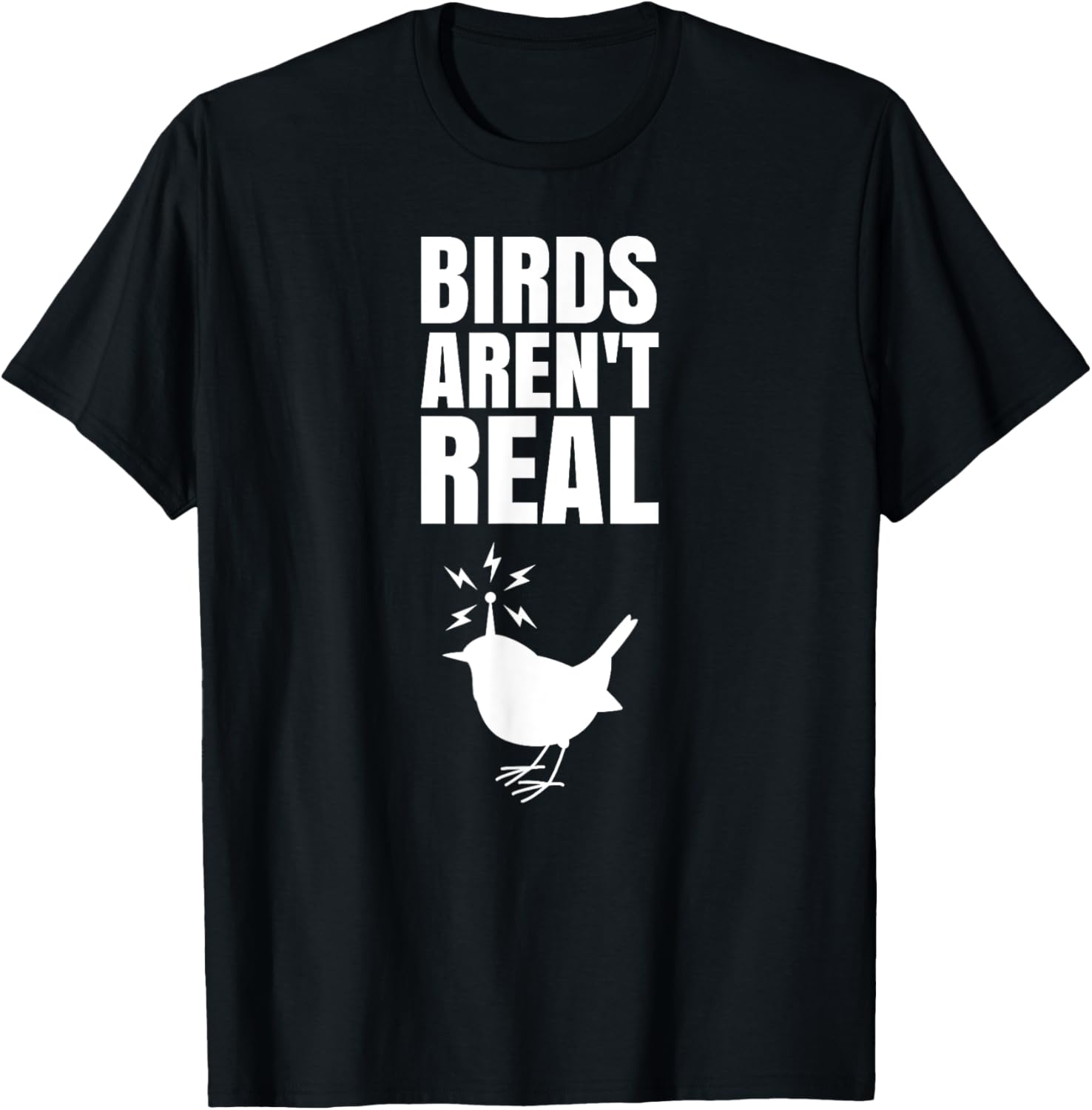 Birds Aren't Real Meme Conspiration