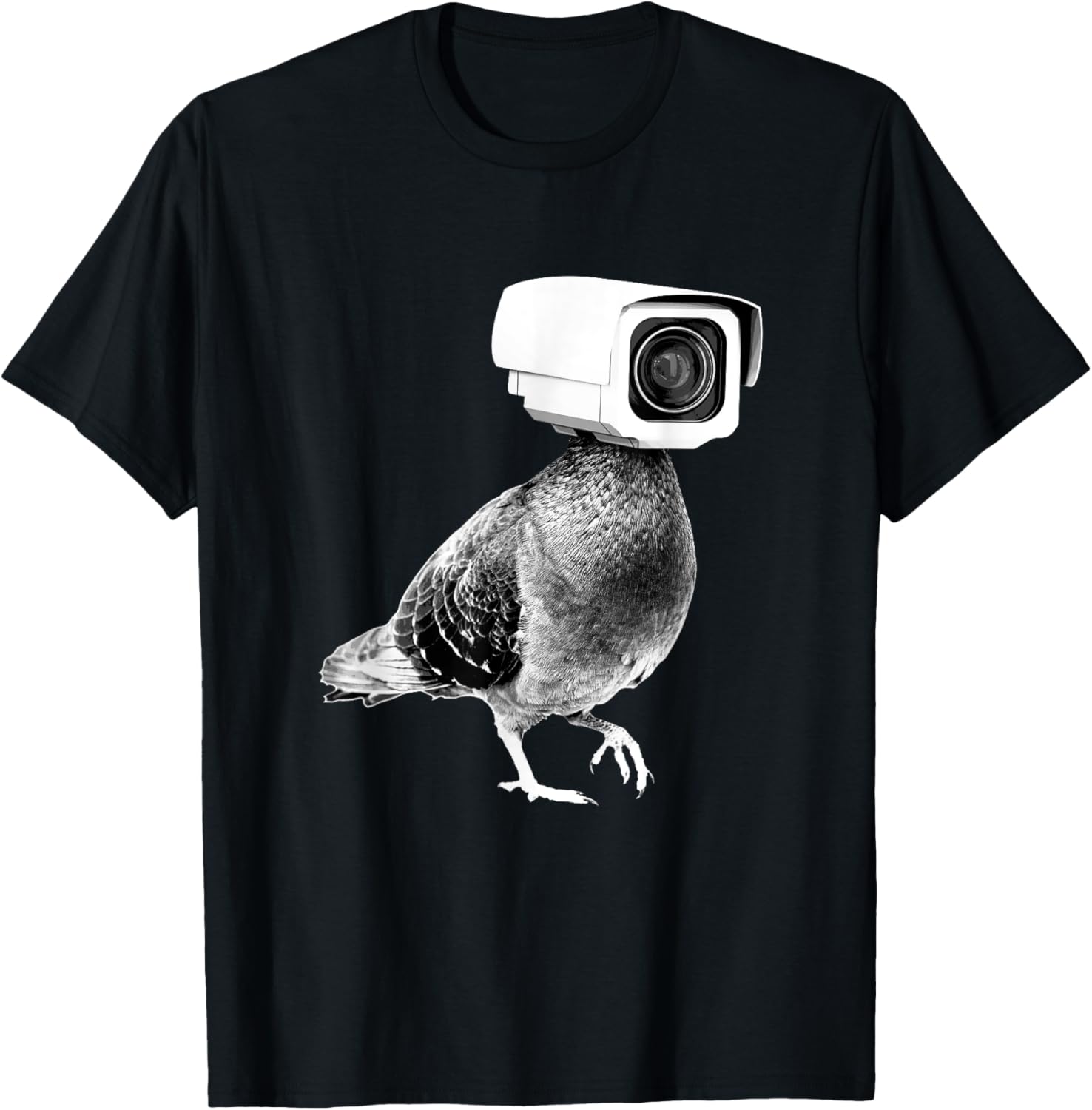 Pigeons Aren't Real