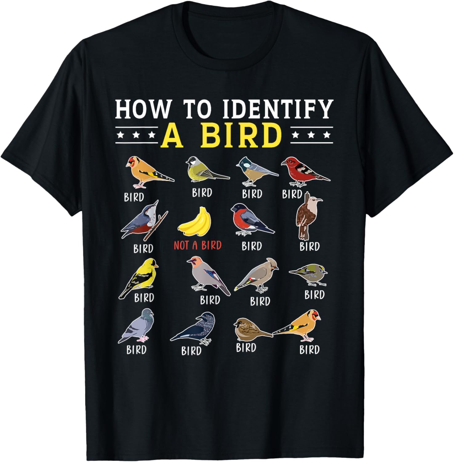 How To Identify A Bird | Bird Watcher | Bird Lover