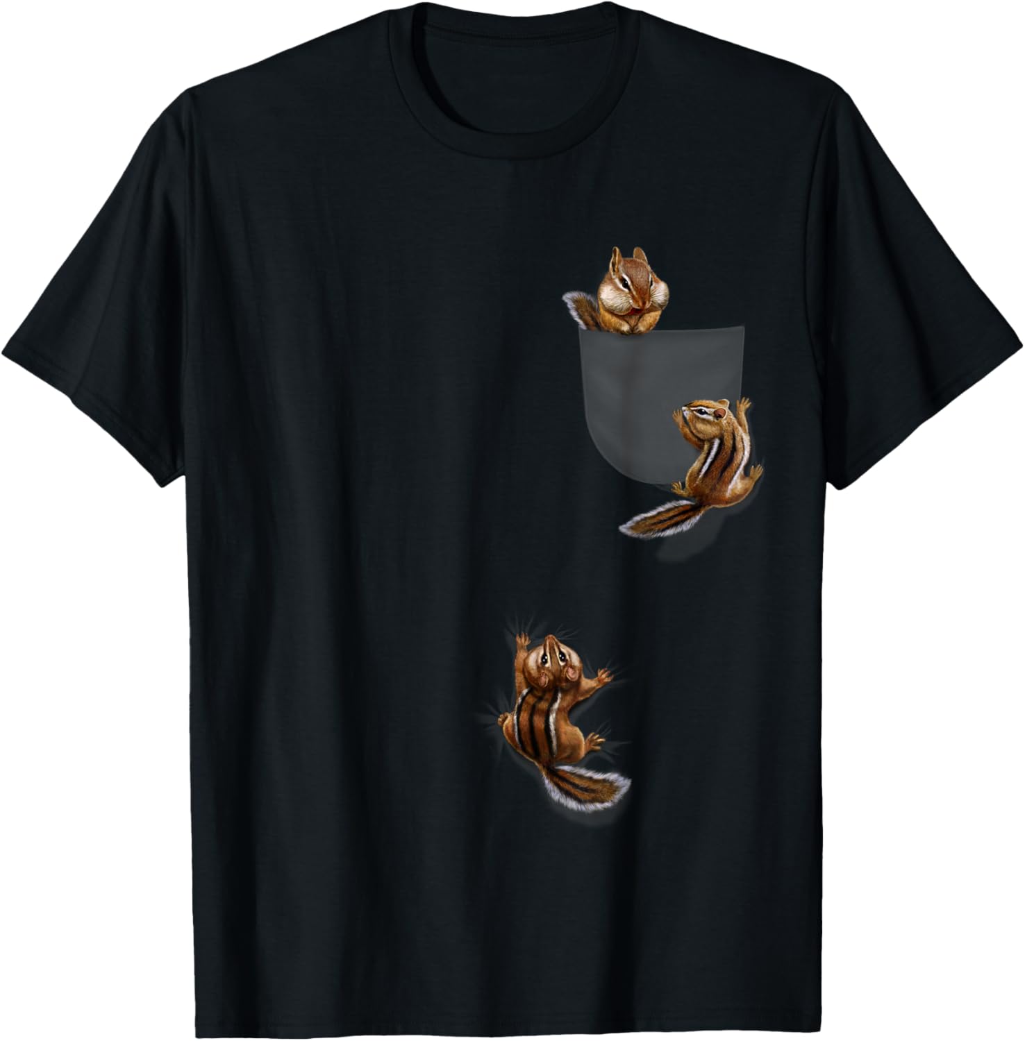 Cute Little Squirrel Playing, Climbing in Pocket, Chipmunk