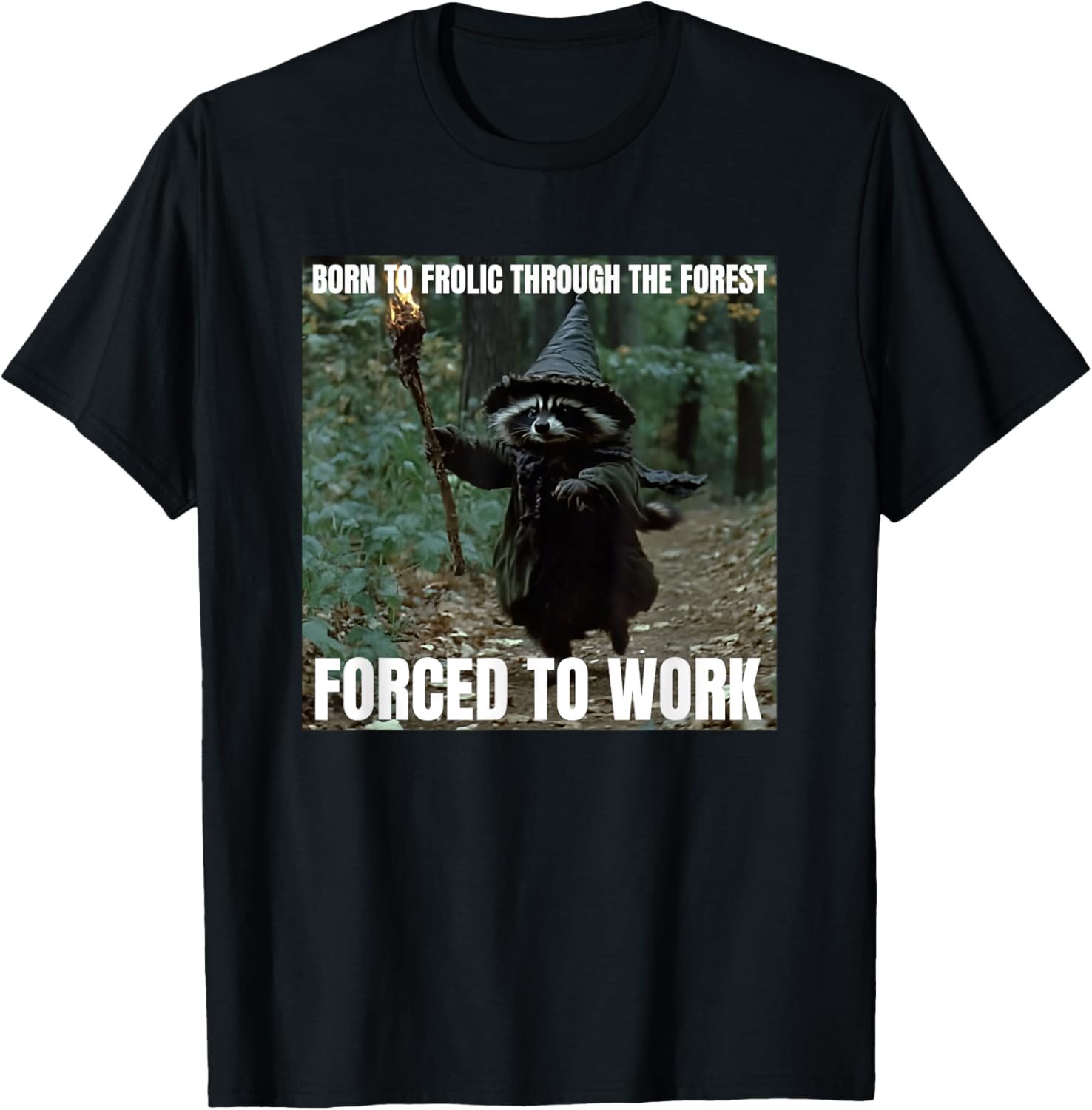 Frolicking Raccoon Wizard