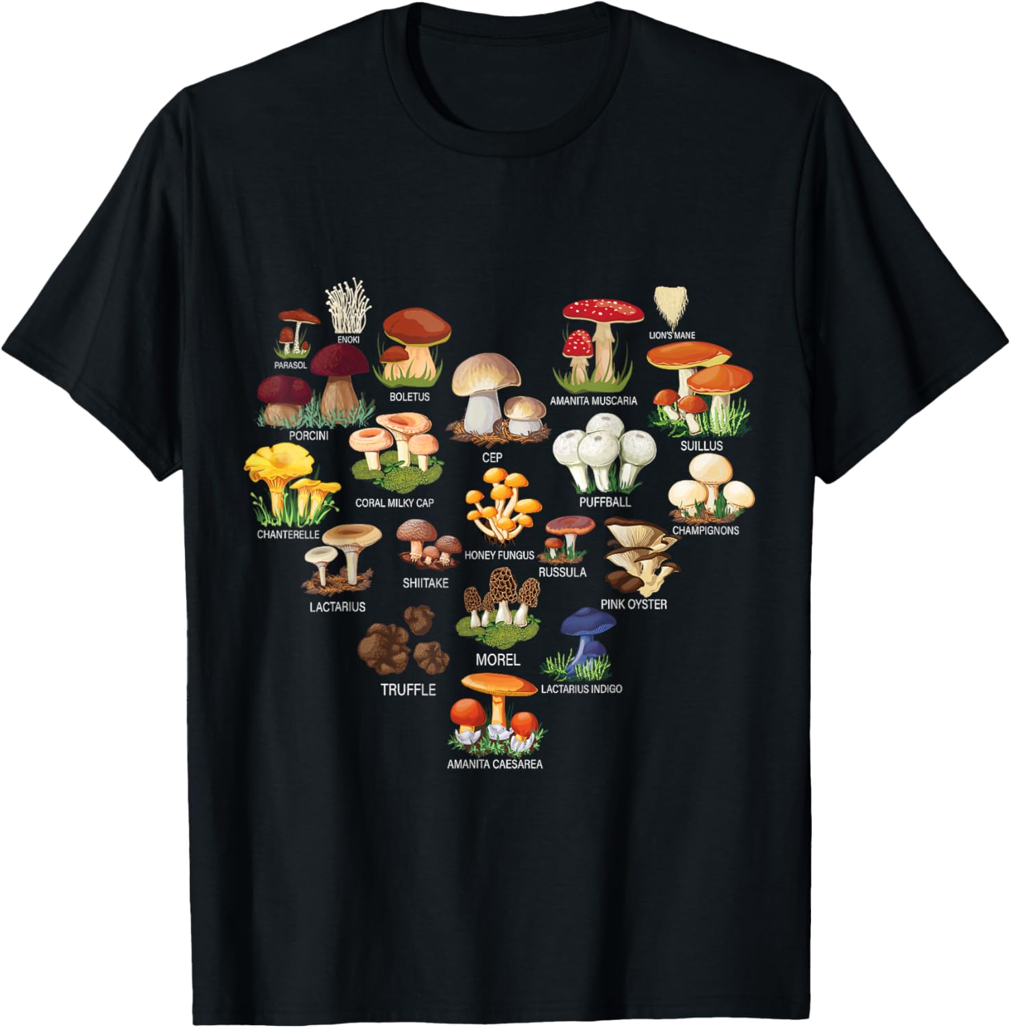 Mushroom Mycology Fungi Foraging Mushrooms Whisperer Fungus