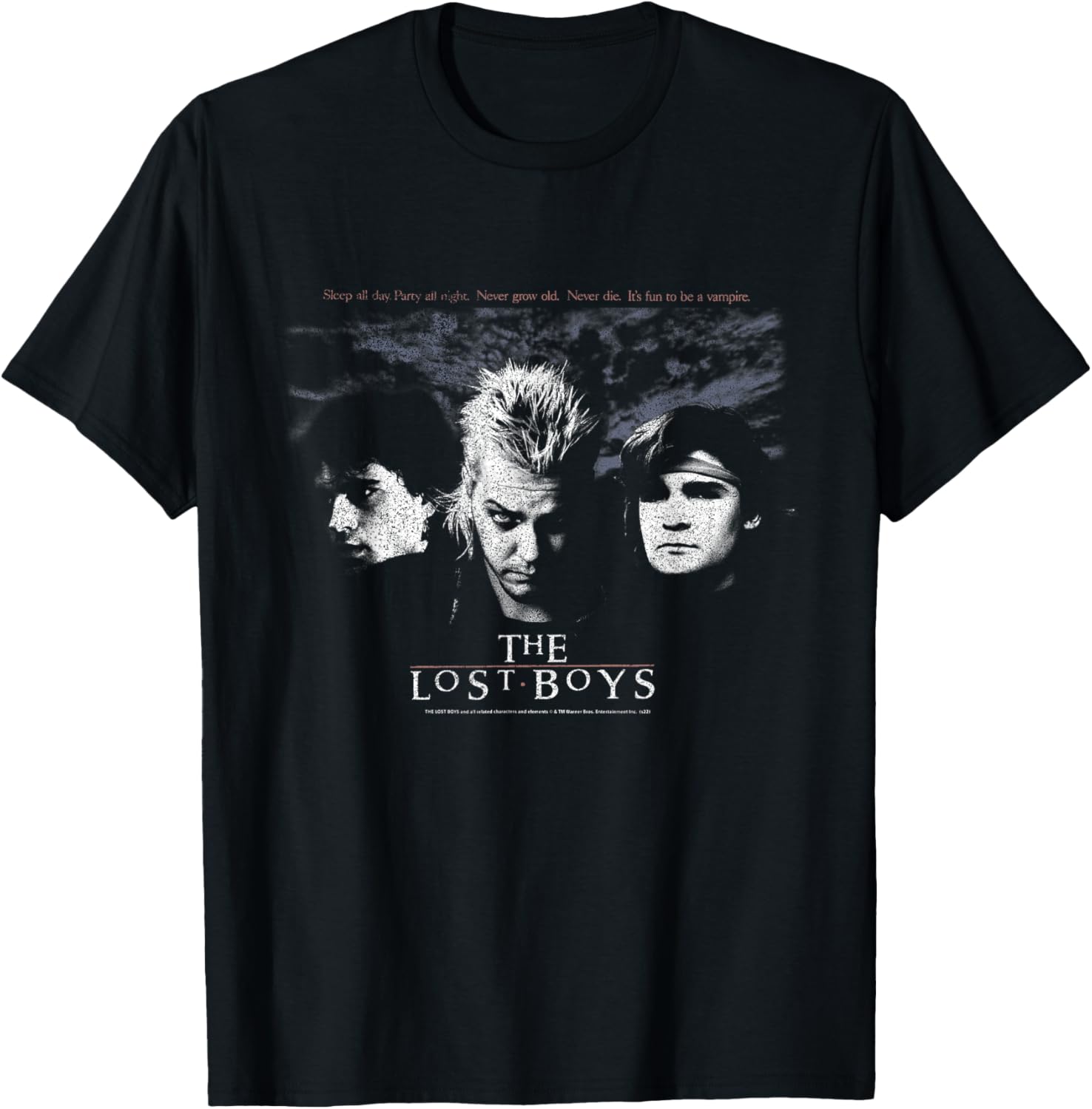 The Lost Boys Group Retro Poster