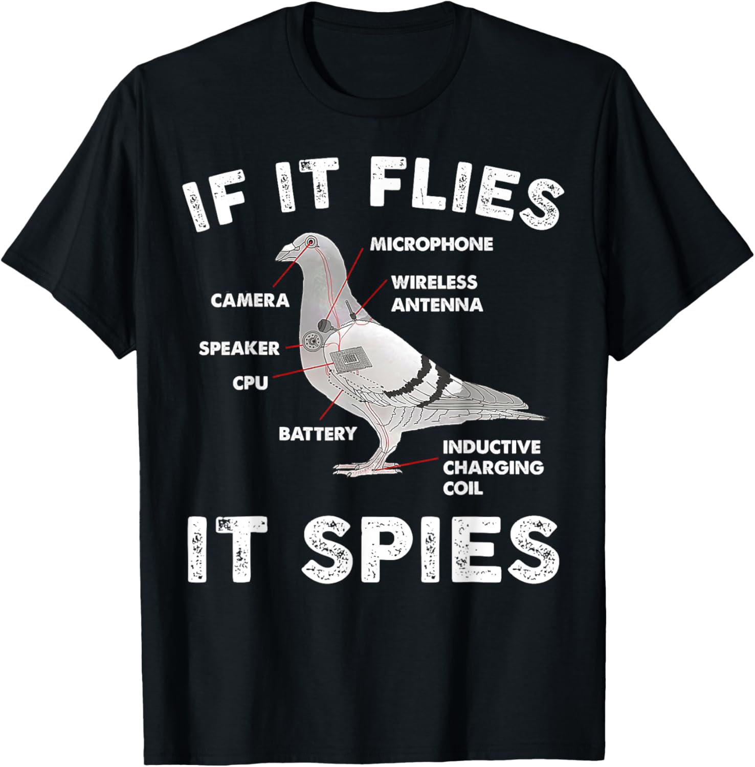 Pigeon If It Flies Spies Pigeon Anatomy Theory Bird Lover
