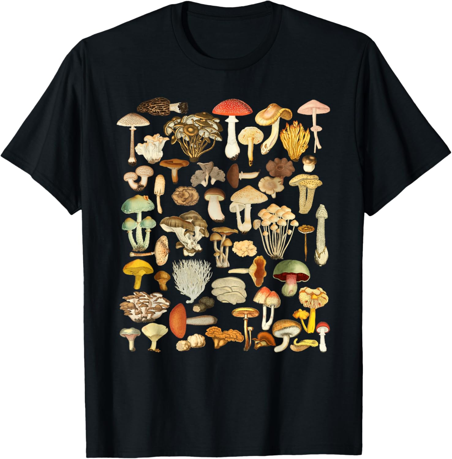 Mushroom Mycology Fungi Foraging Mushroom Whisperer