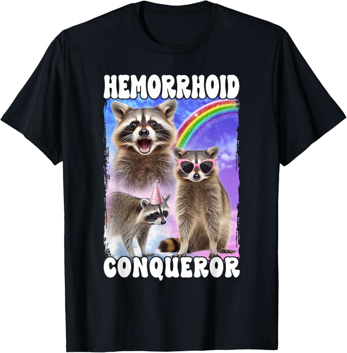Raccoon Internet Meme Meme Culture Pop Culture Hemorrhoid Conqueror Raccoon Internet Culture